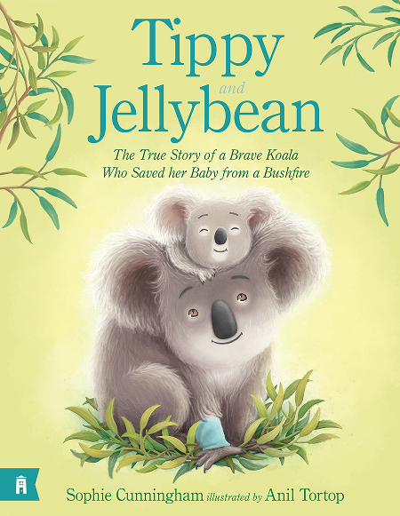 Koala book cover, Tippy and Jellybean.
