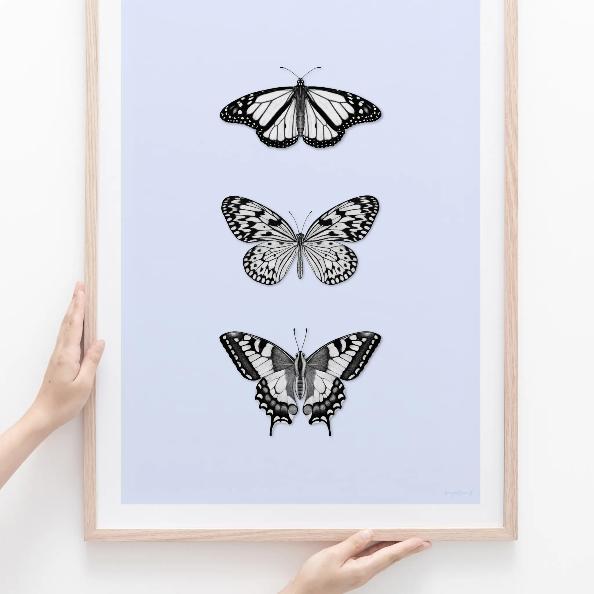Frame with three black and white butterflies.